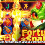Rahasia Gacor Fortune Snake Membawa Keberuntungan Besar