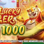 Rahasia Gacor Lucky Tiger 1000 Membawa Hoki Besar