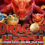 Rahasia Gacor Dragon Hatch yang Bikin Telur Naga Pecah Maxwin